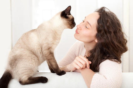 woman  having good times at home with cat
