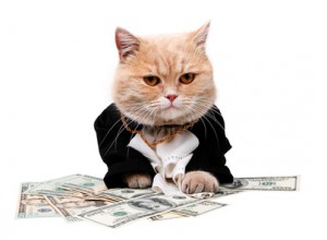 Red cat sitting on the dollar on the white background